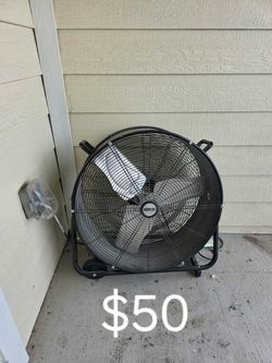 Fan