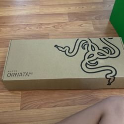 Razed Keyboard Ornata V2