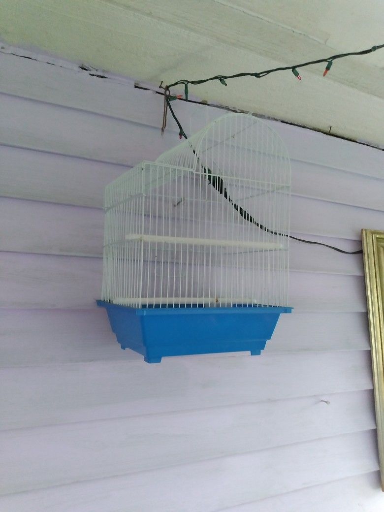 BIRD CAGE 15