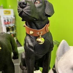 Amazing Dog Bluetooth Speaker Great For Outdoor Events, Park Beach