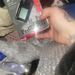 Pedometer 