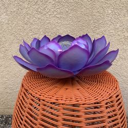 Solar Light Succulent 