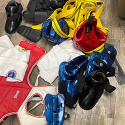 Taekwondo Gear For Children $50 