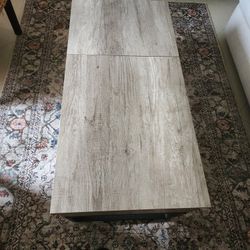 Coffee Table Woth Storage 