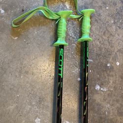 Scott Slalom Ski Poles