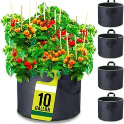 10 Gallon Garden Grow Bag