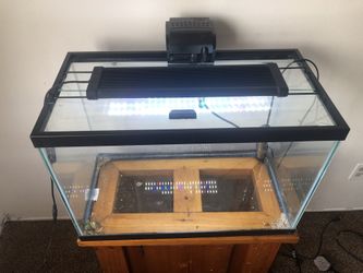 Aquarium Fish Tank