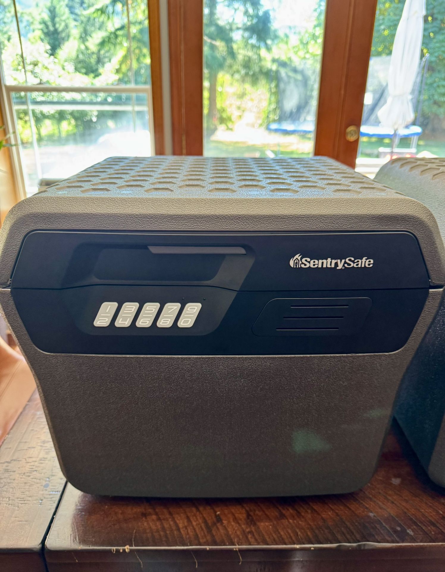 SentrySafe Water And Fireproof Hanging File folder