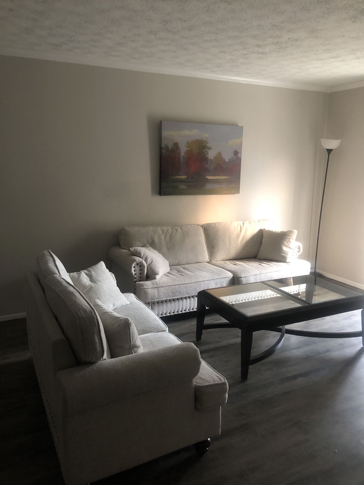 Barely Used 2 Piece Living Room Set $450