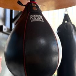 Boxing Equipment 