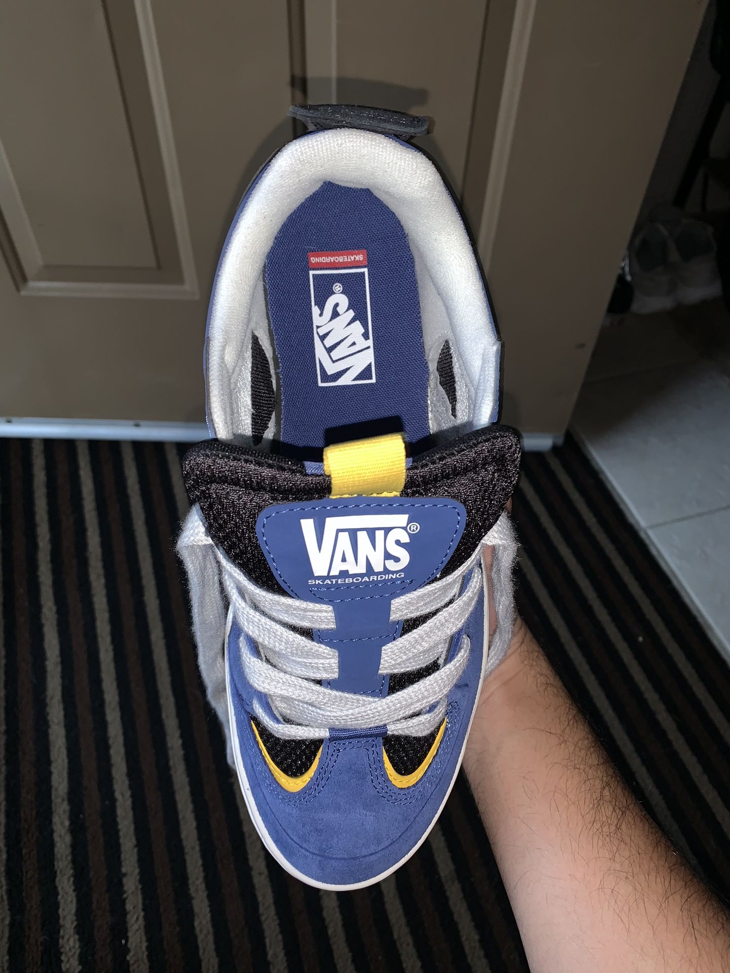 Vans Skateboarding Shoes