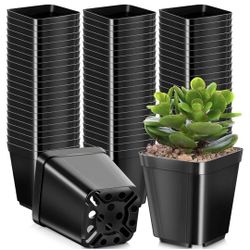 2" Nursery Pots For Plants