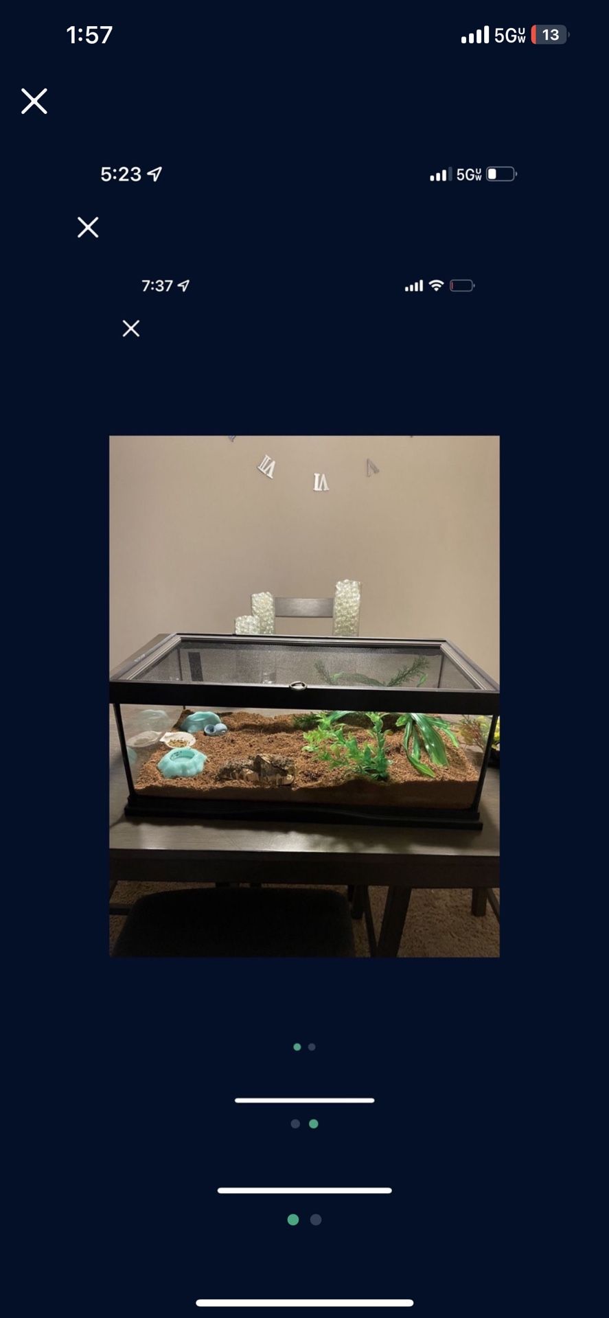 5 Gallon Terrarium
