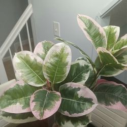 Large Size-(41) Leaf Faux Plant, with Decorative Metal Vase