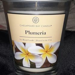 Chesapeake Bay Scented Candle