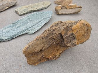 Petrified Wood