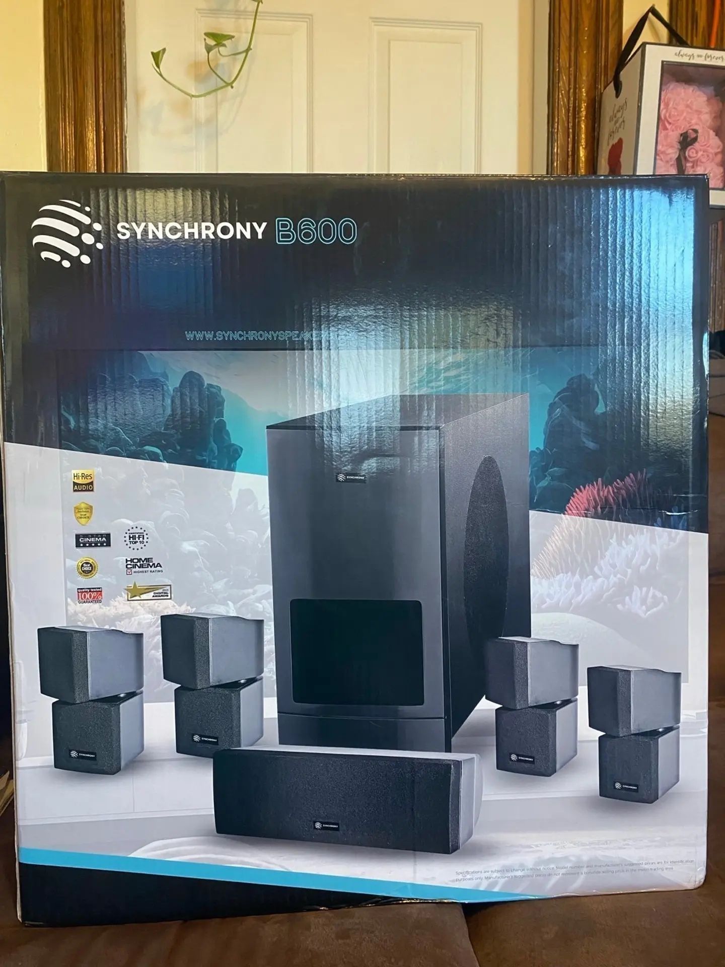 Synchrony B600 Surround Sound System