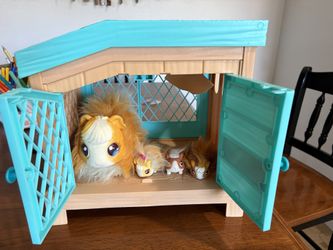 Toy Guinea Pig