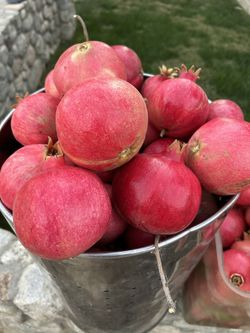 Pomegranates