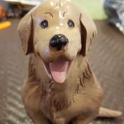 Dog Golden Retriever 