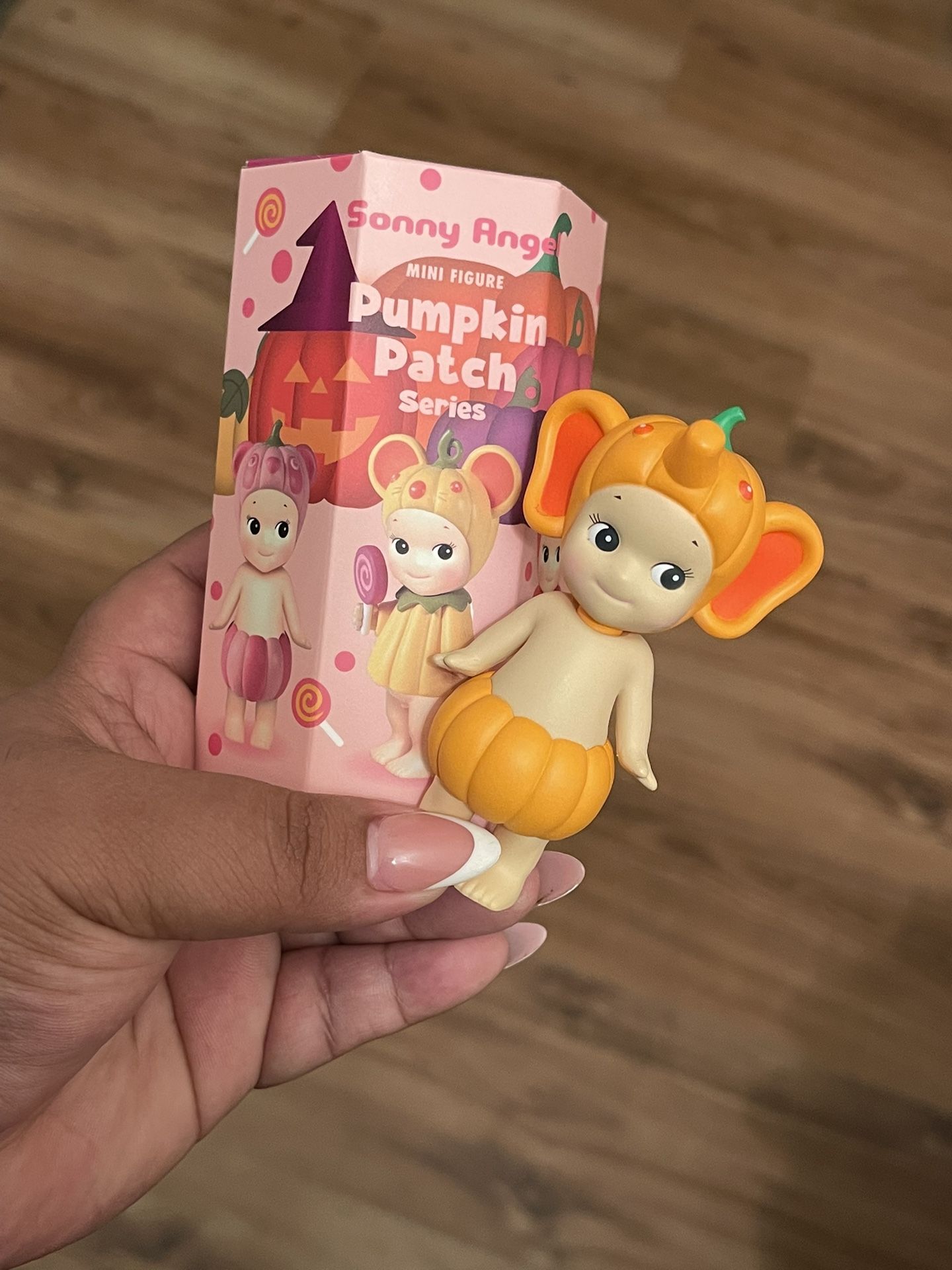 Sonny Angel Pumpkin Patch Series (Authentic)