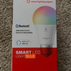 Smart Bulb for Amazon Echo