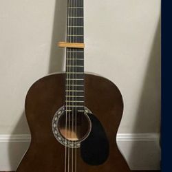 Rogue Fine Instruments Vintage Guitar 