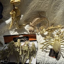 Tub Of Halloween Decor