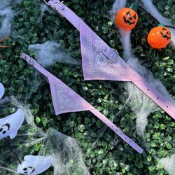 Collars For Dogs Or Cats