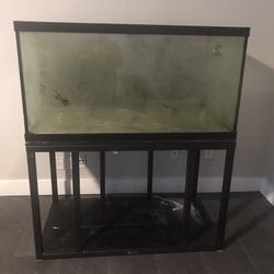 Aquarium 