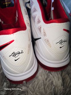 Lebron 8 p.s