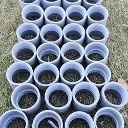 2 in. Electrical PVC Female Adapter (E942J-4-HD) 28 Piesas 