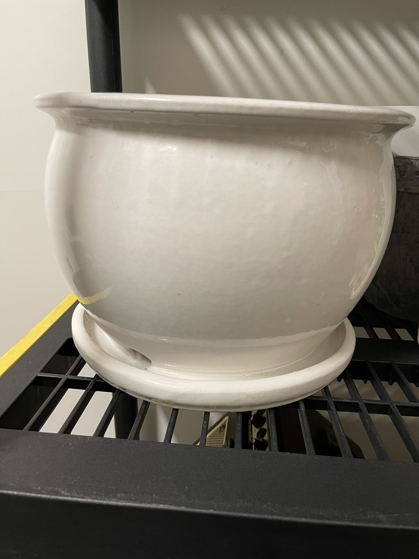 Plant Pot