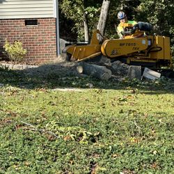 STUMP GRINDING 