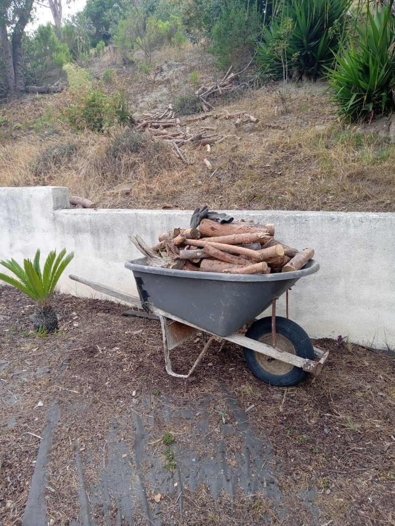 Firewood