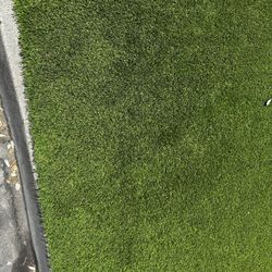 Synthetic Grass