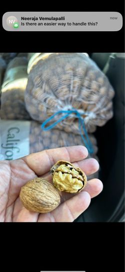 32 lbs organic chandler walnuts