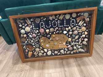 Large Handmade La Jolla Seashell Shadowbox Wall Art