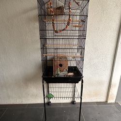 Bird Cage 