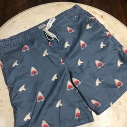 Swimming Shorts