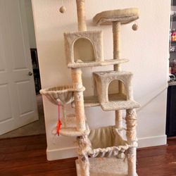 Casita Para Gato Grande