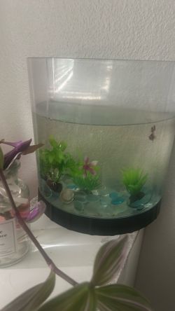 it’s a 10 gallon