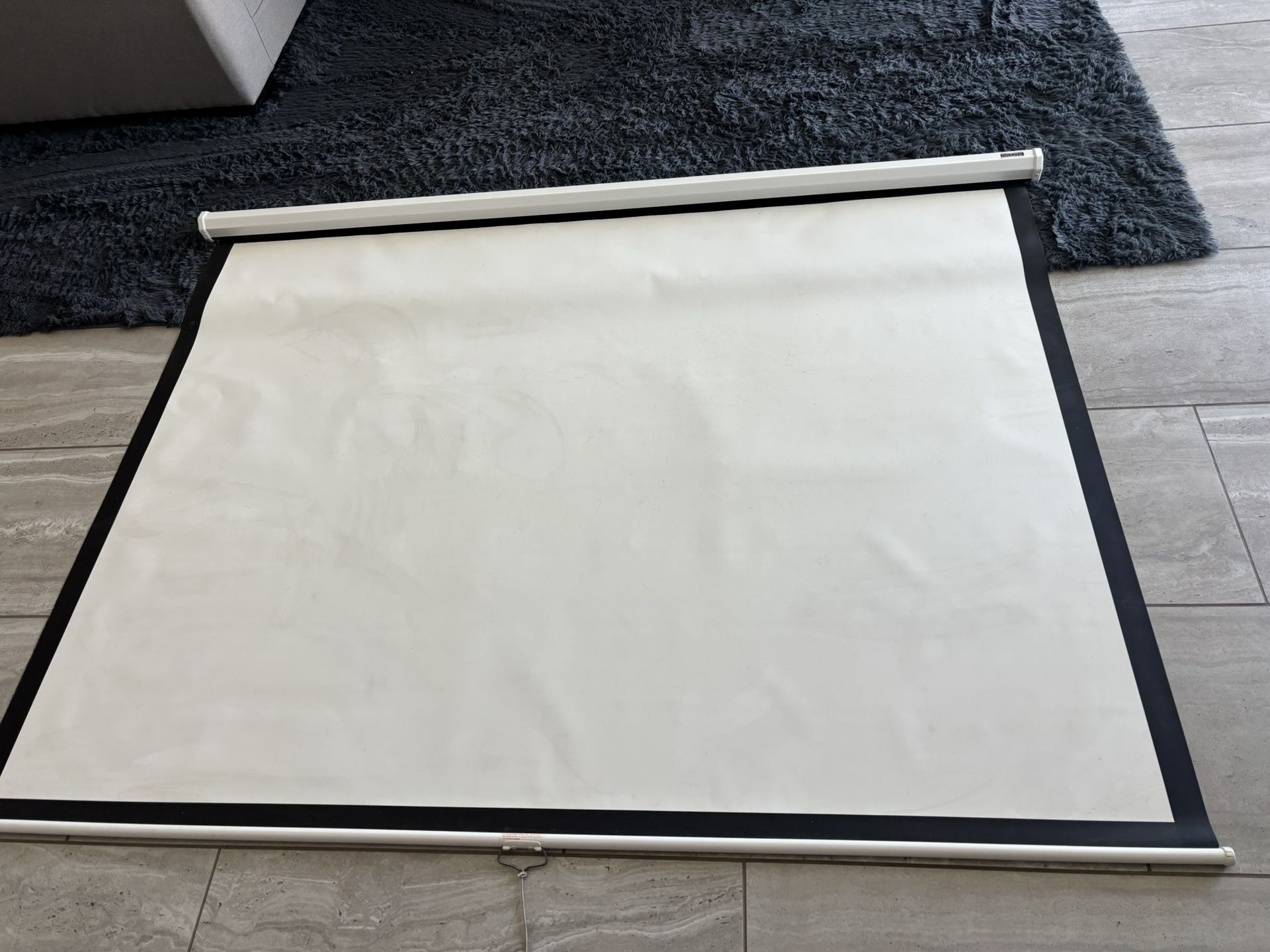 Da-Lite Projector Screen