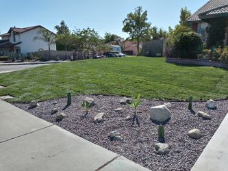New System Sprinklers , sod or seed and more