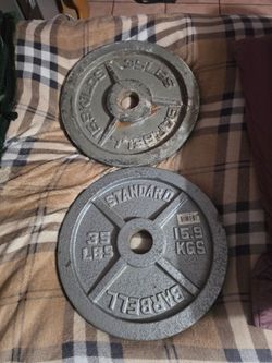 35lb plates (pair)