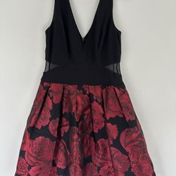 Aqua black and red rose mini dress 