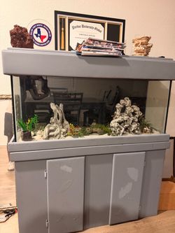 55 gallon aquarium