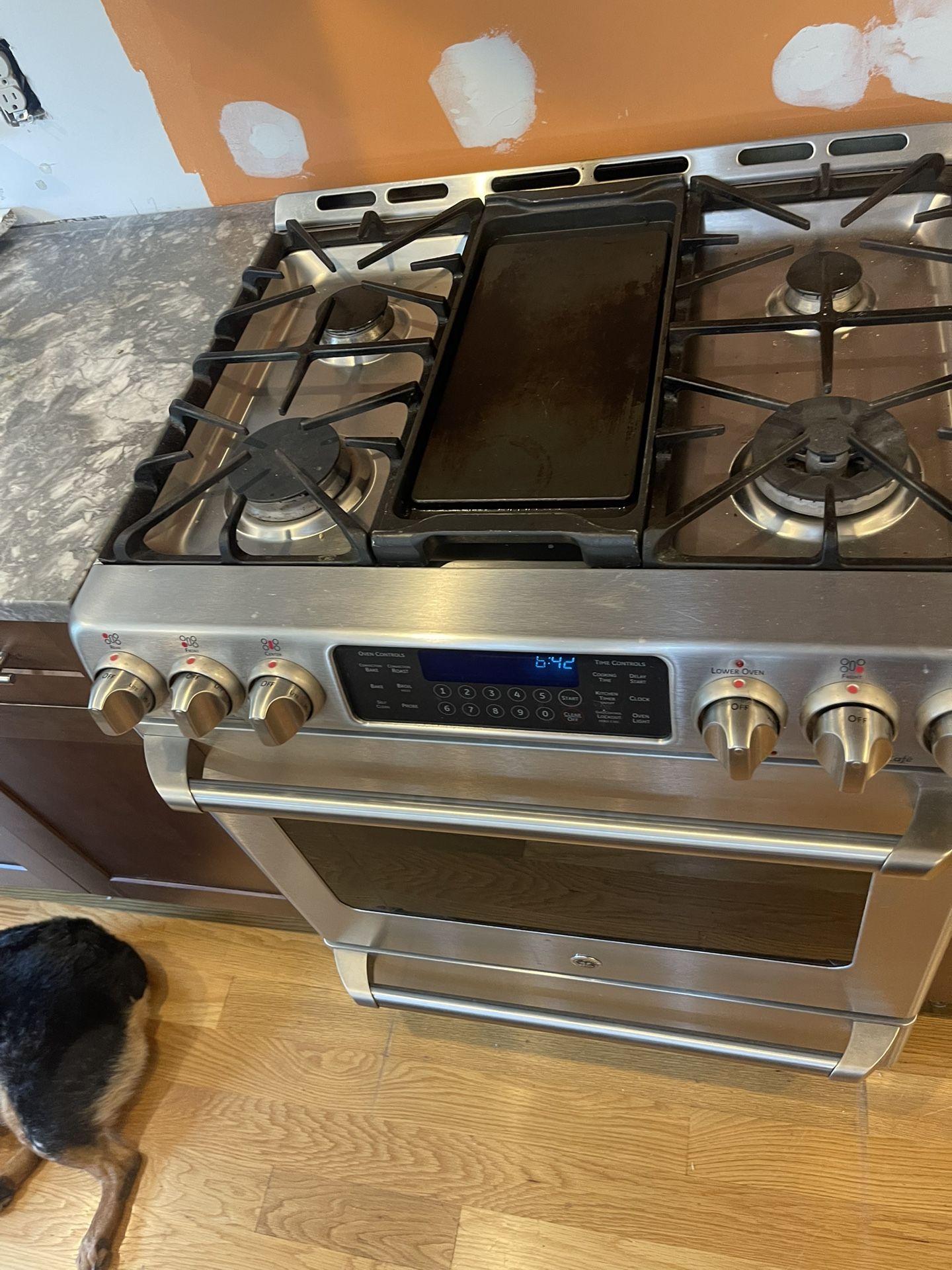Stainless Steel Gas Range