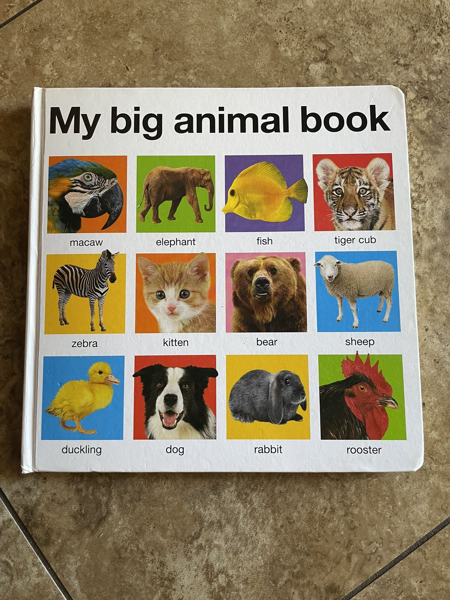 My Big Animal Book
