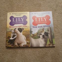 Lily To The Rescue The Not-So-Stinky Skunk and Dog Dog Goose